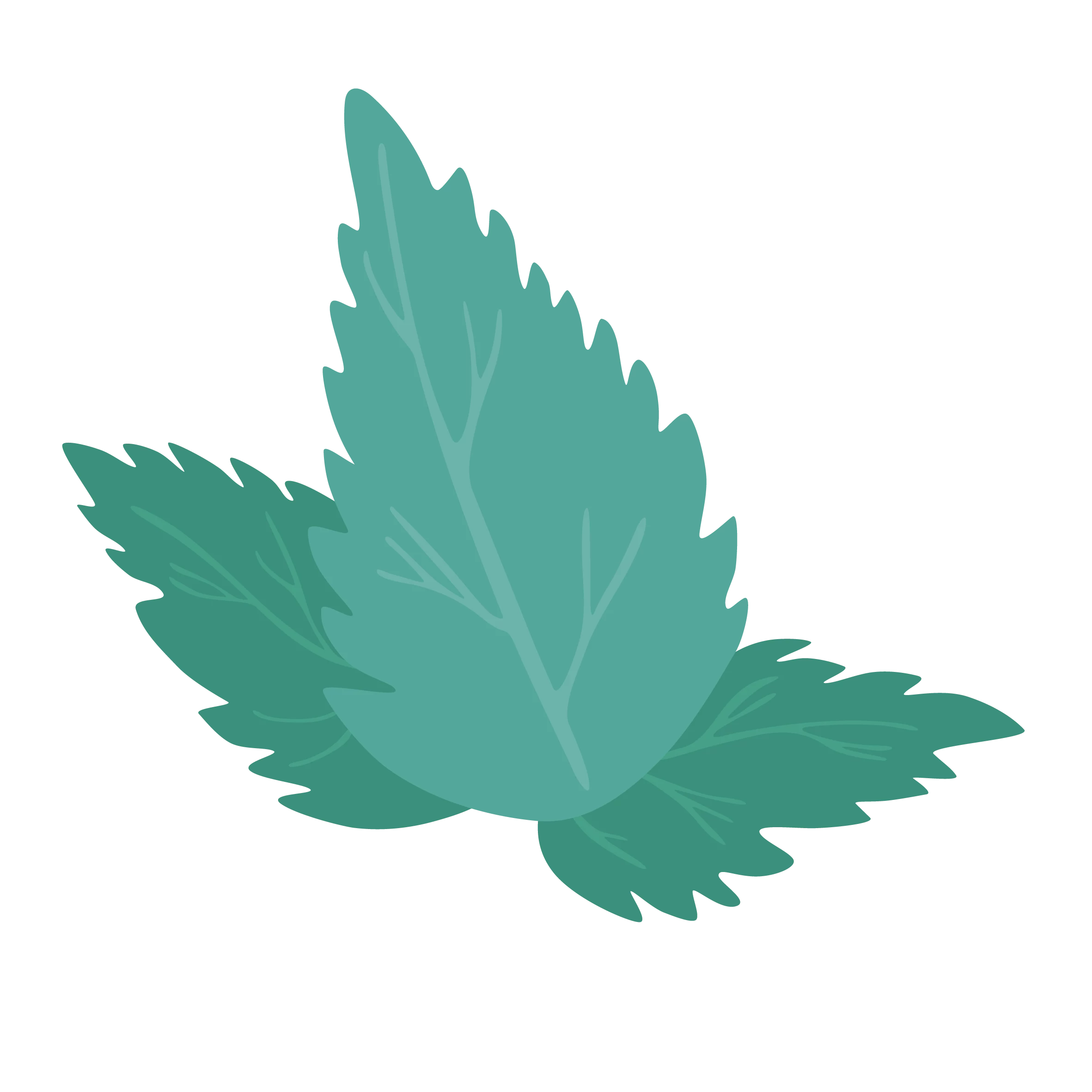 plant-deco