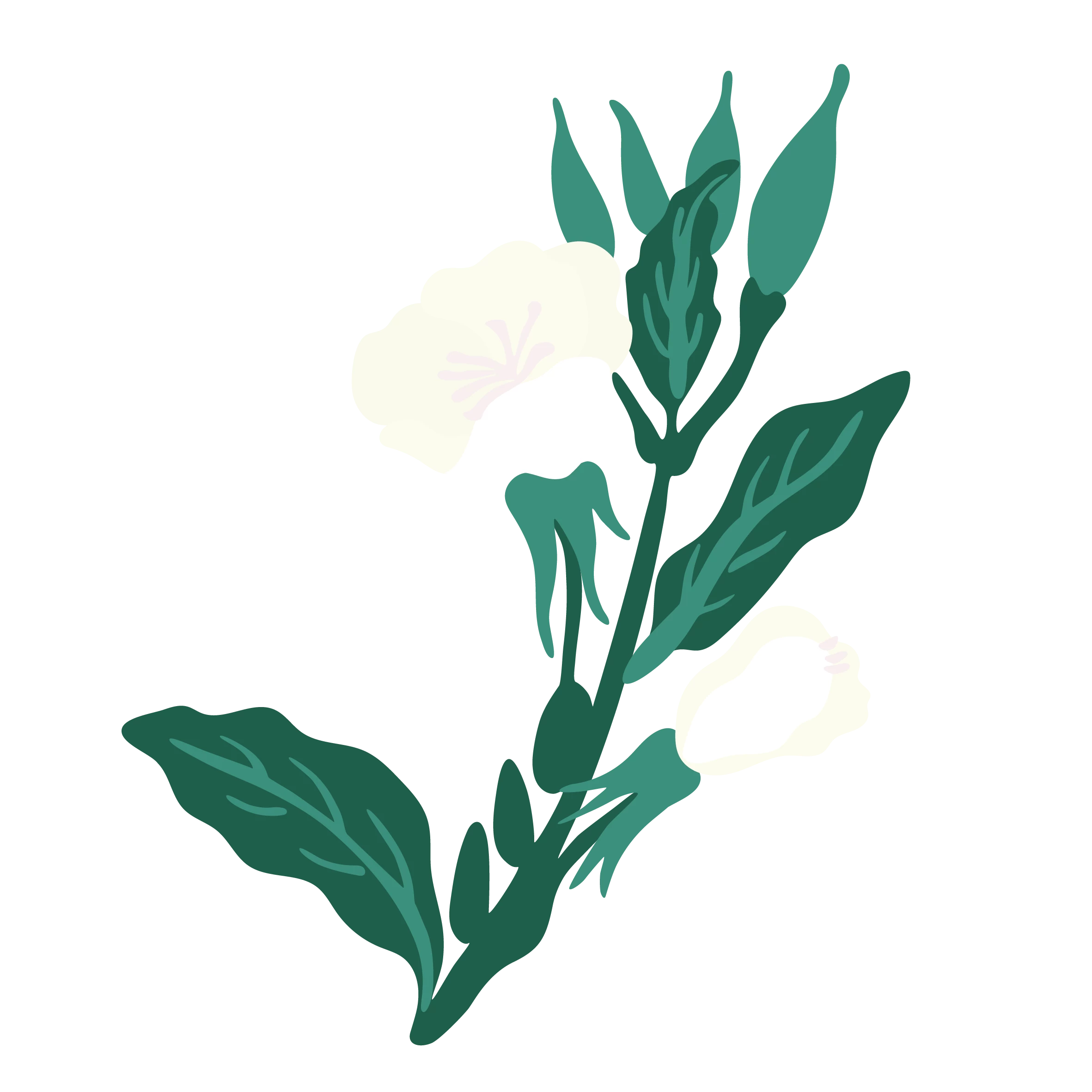 plant-deco
