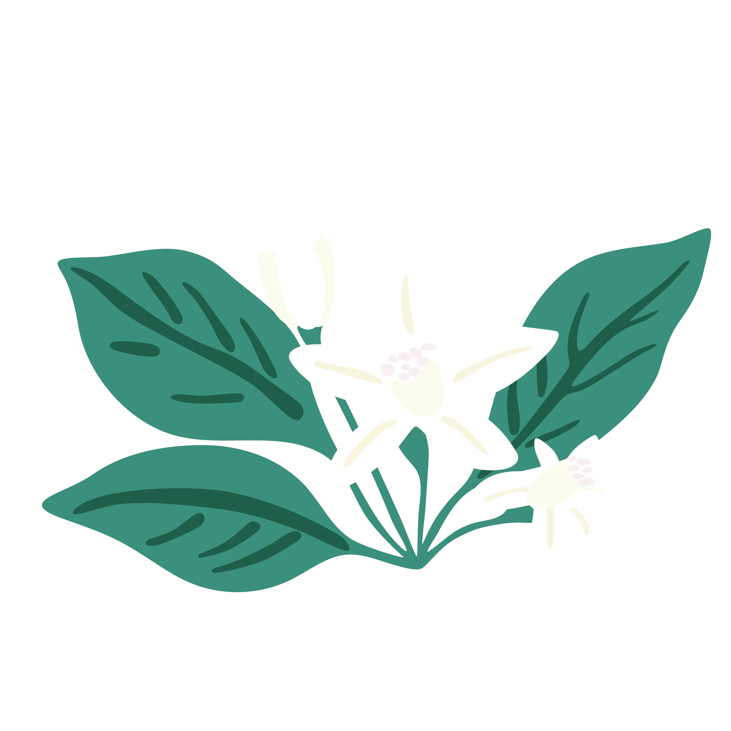 plant-deco