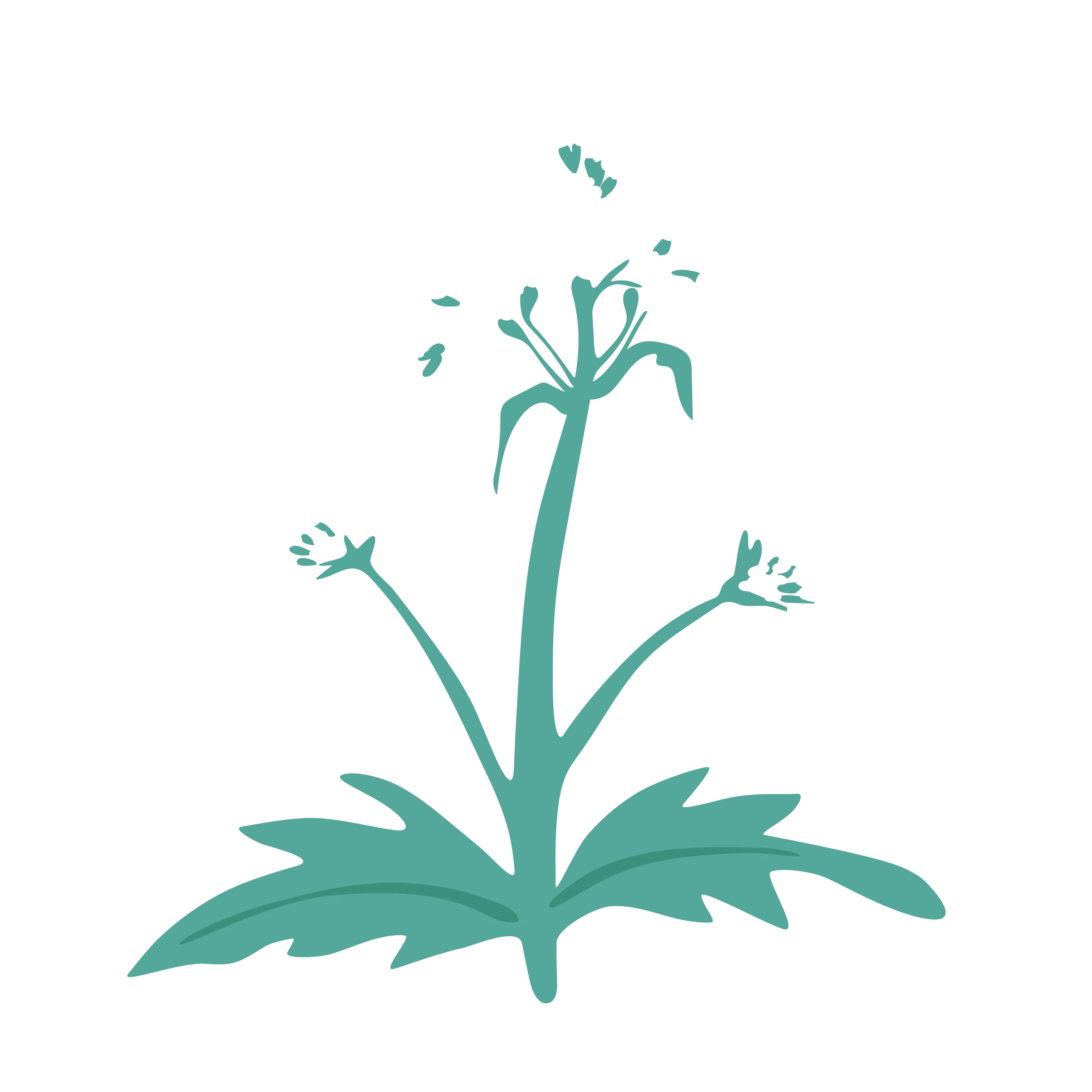plant-deco